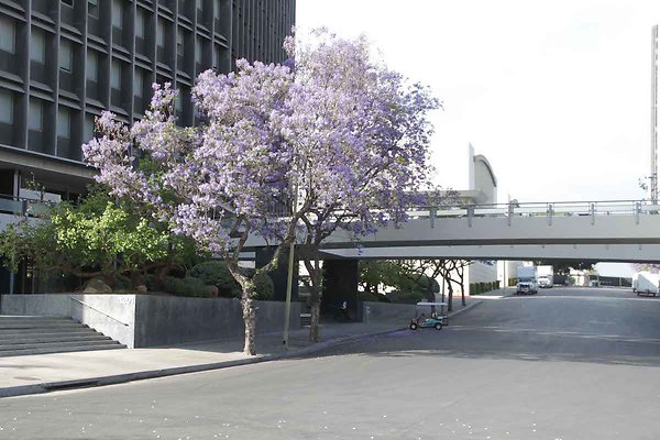 LACA exteriors-10