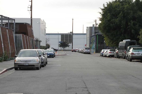 Palmetto &amp; Colyton-114