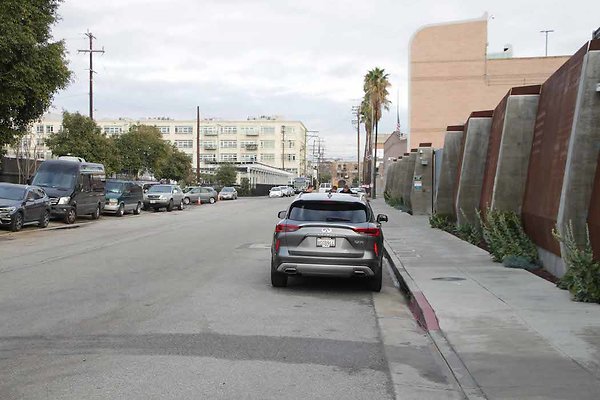 Palmetto &amp; Colyton-124