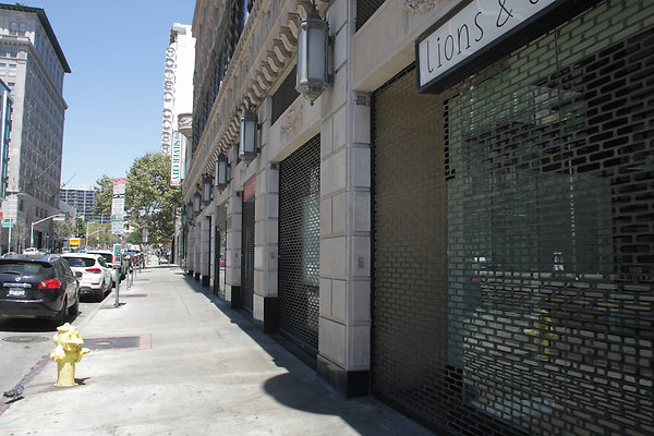 IMG 0301-13
