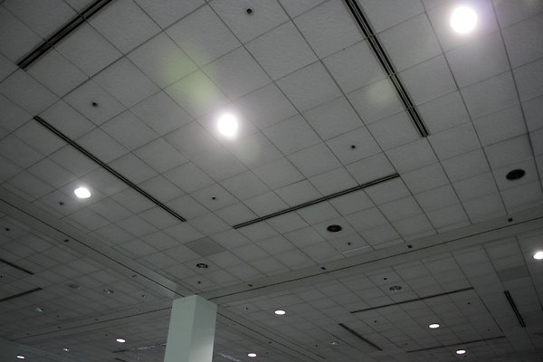LACC-15