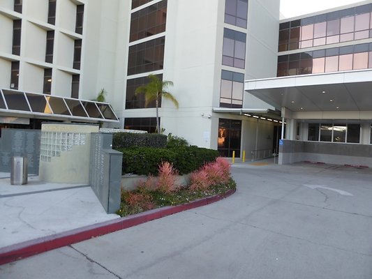 P1160506