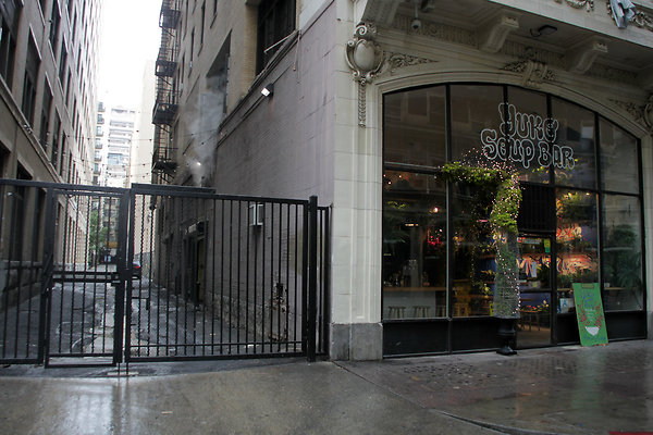 IMG 2539-3