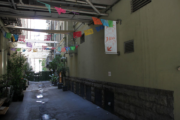 IMG 9814-8