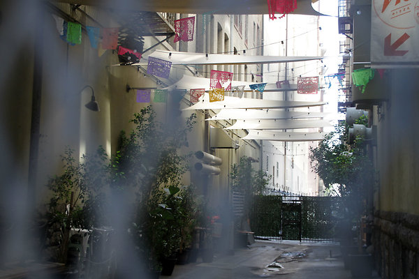 IMG 9818-11