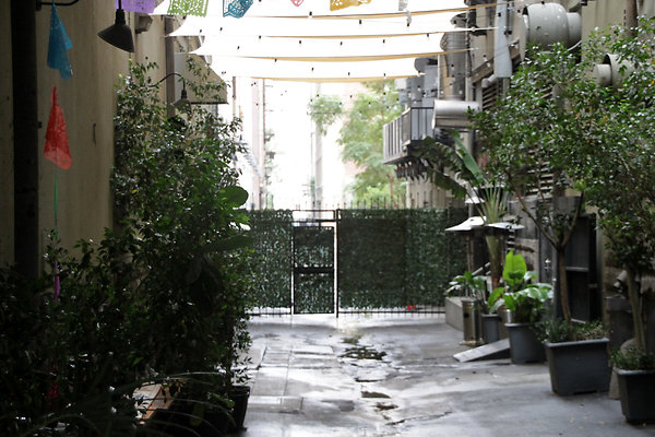 IMG 2531-4