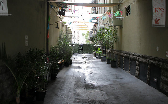 IMG 2528-2