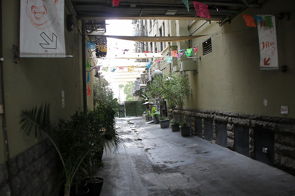 IMG 2532-5