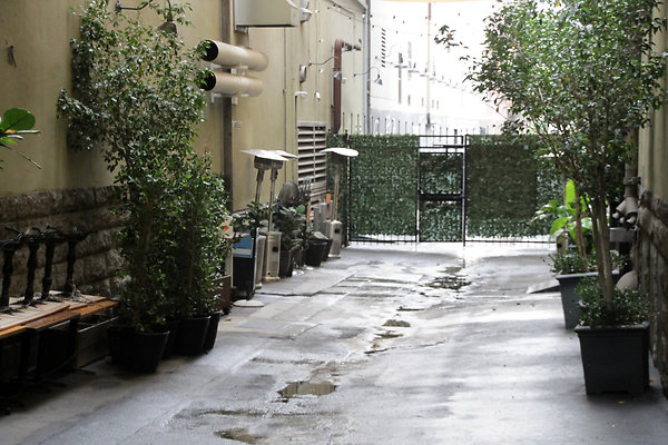 IMG 2530-3