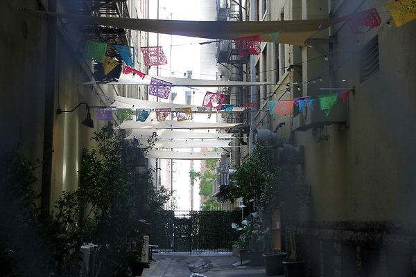 IMG 9819-12