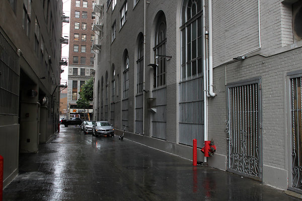 IMG 2573-11