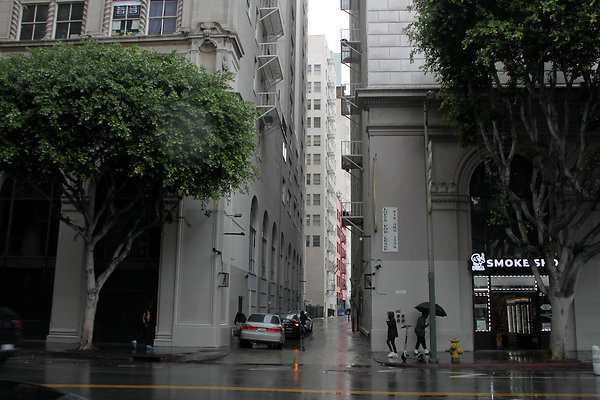 IMG 2587-25