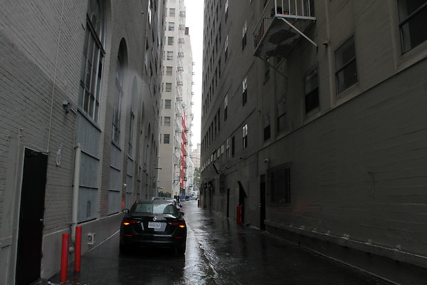 IMG 2581-19