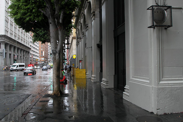 IMG 2584-22