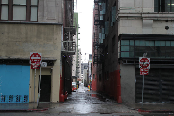 IMG 2636-5