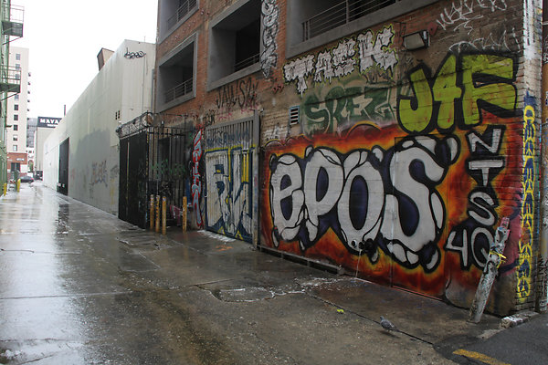 IMG 2652-21