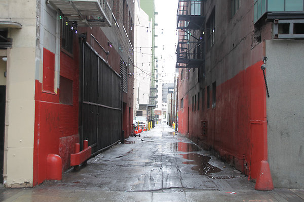 IMG 2637-6
