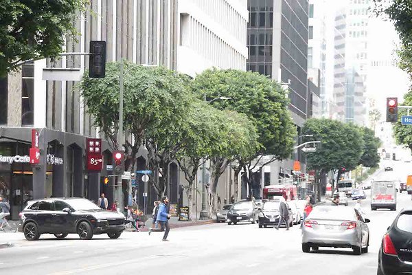 Wilshire &amp; Hope-115