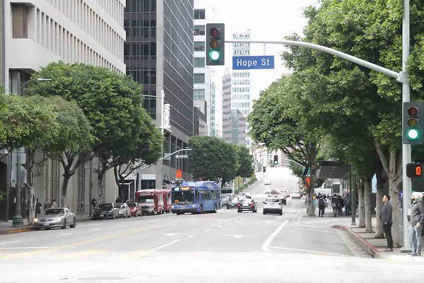 Wilshire &amp; Hope-120