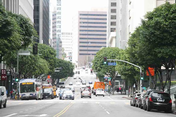 Wilshire &amp; Hope-114
