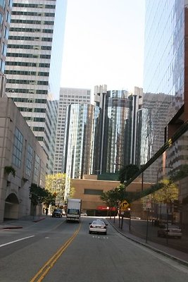 IMG 1709