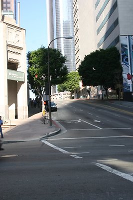 IMG 1731