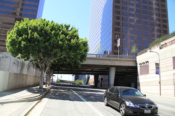 4th st lower g-olive