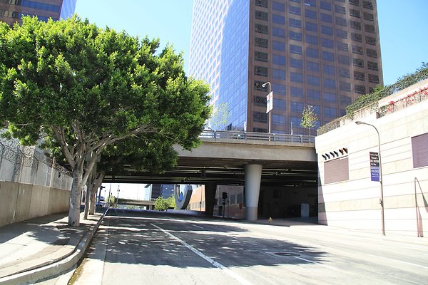 4th-grand-olive9