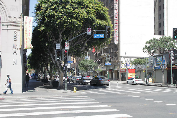 IMG 0098-25