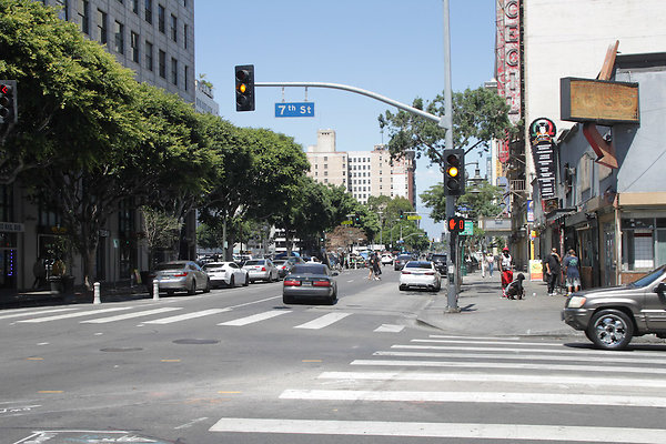 IMG 0092-19