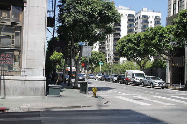 IMG 0412-12