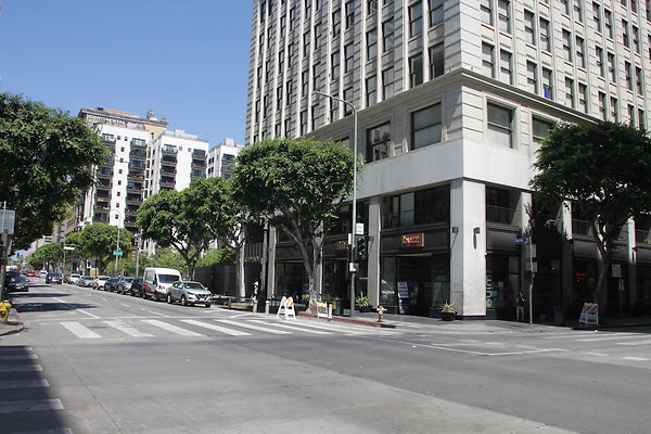 IMG 0408-8