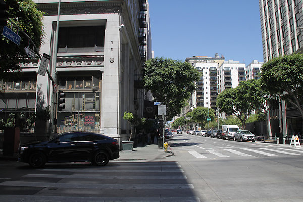 IMG 0407-7