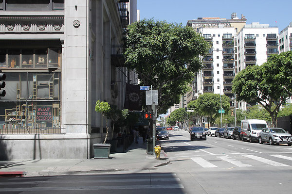 IMG 0410-10