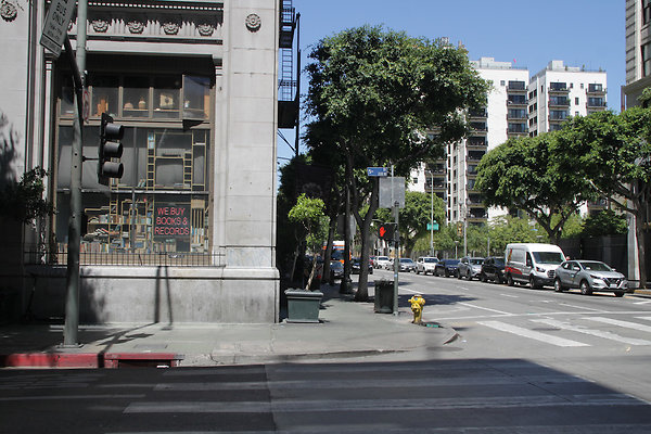 IMG 0411-11