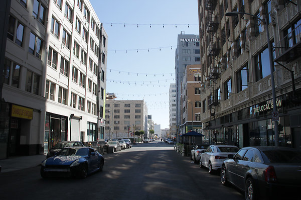 IMG 0257-2
