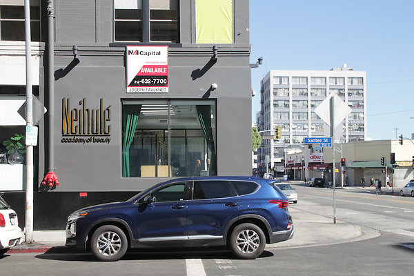 IMG 0267-3