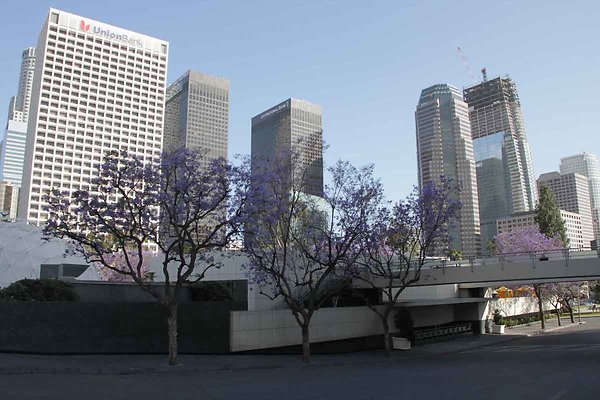 LACA exteriors-19