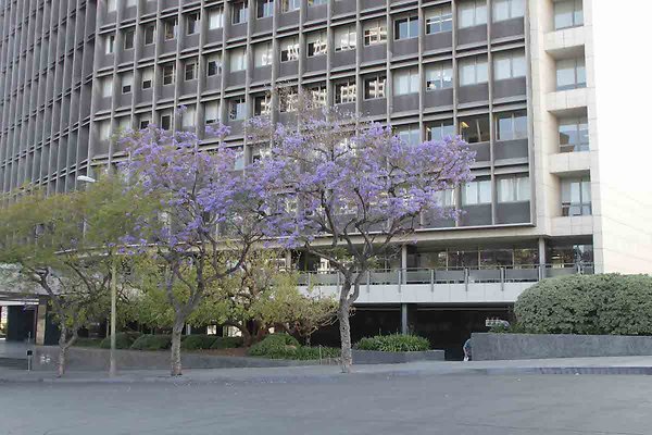 LACA exteriors-24
