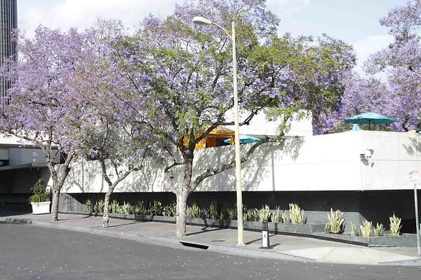 LACA exteriors-13