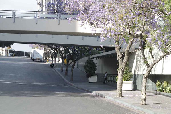 LACA exteriors-12