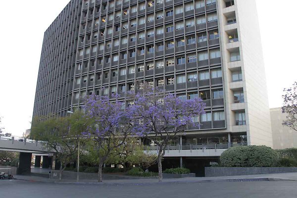 LACA exteriors-22