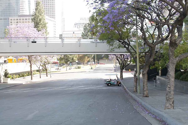 LACA exteriors-21