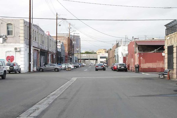 Palmetto &amp; Colyton-150