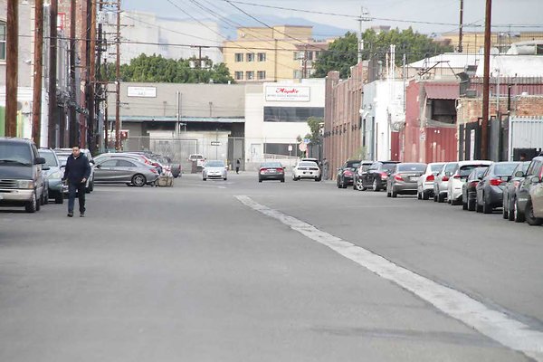 Palmetto &amp; Colyton-106