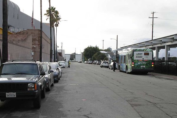 Palmetto &amp; Colyton-135