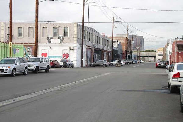 Palmetto &amp; Colyton-149