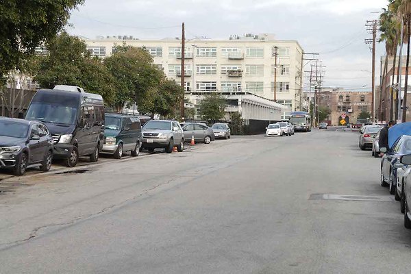 Palmetto &amp; Colyton-126