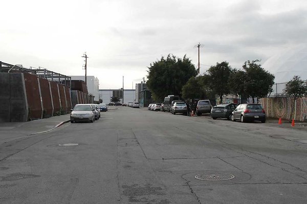 Palmetto &amp; Colyton-111