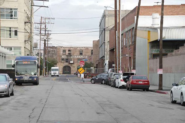 Palmetto &amp; Colyton-119